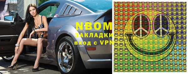 стаф Алзамай