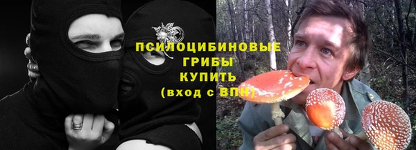 ГАЛЛЮЦИНОГЕННЫЕ ГРИБЫ Алексин