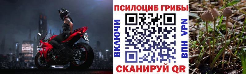 blacksprut tor Королёв Галлюциногенные грибы мухоморы